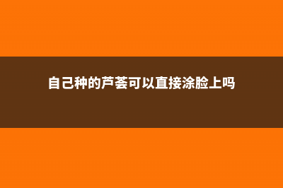 自己种的芦荟可以直接擦在脸上吗 (自己种的芦荟可以直接涂脸上吗)