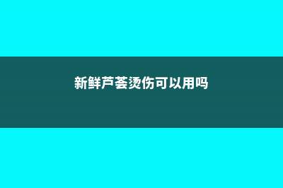 新鲜芦荟对烫伤有用吗，新鲜芦荟怎样祛痘 (新鲜芦荟烫伤可以用吗)