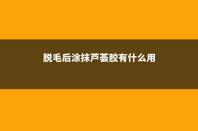 芦荟胶有什么用，芦荟胶可以去痘印吗 (脱毛后涂抹芦荟胶有什么用)