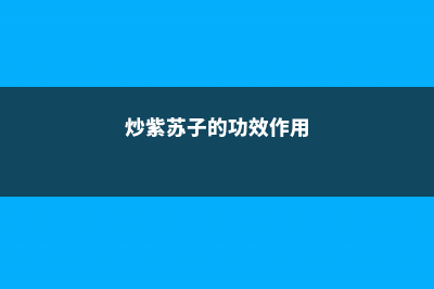 炒紫苏子的功效与作用，紫苏子的功效与作用及禁忌 (炒紫苏子的功效作用)