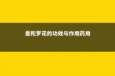 曼陀罗花的功效与作用，曼陀罗花图片 (曼陀罗花的功效与作用药用)