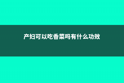 产妇可以吃香菜吗，哺乳期能吃吗 (产妇可以吃香菜吗有什么功效)