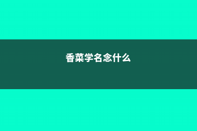 香菜学名，有什么功效 (香菜学名念什么)