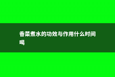 香菜煮水的功效与作用，香菜水的功效与作用 (香菜煮水的功效与作用什么时间喝)