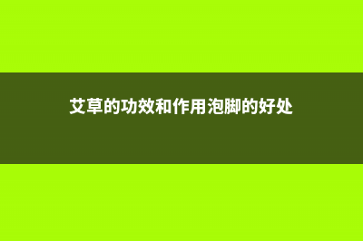 艾草泡脚禁忌，孕妇可以艾草泡脚吗 (艾草的功效和作用泡脚的好处)