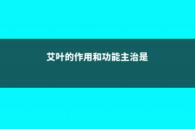 艾叶的作用，艾叶和艾草一样吗 (艾叶的作用和功能主治是)