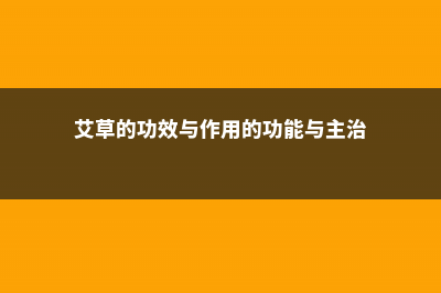 艾草的功效与作用，艾草可以泡水喝吗 (艾草的功效与作用的功能与主治)