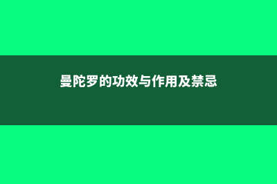 曼陀罗的功效与作用，曼陀罗图片 (曼陀罗的功效与作用及禁忌)