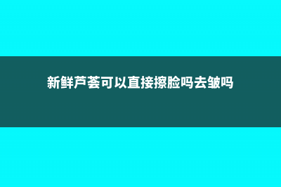 新鲜芦荟可以直接擦脸吗，新鲜芦荟的正确用法 (新鲜芦荟可以直接擦脸吗去皱吗)