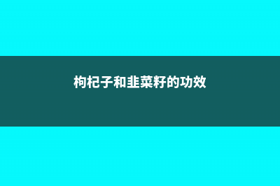 韭菜籽的功效，韭菜籽怎么吃 (枸杞子和韭菜籽的功效)