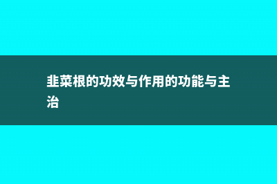 韭菜根的功效与作用 (韭菜根的功效与作用的功能与主治)