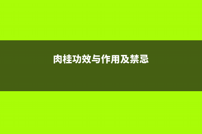 肉桂功效与作用，肉桂图片 (肉桂功效与作用及禁忌)