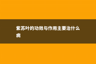 紫苏叶的功效与作用，紫苏叶怎么吃 (紫苏叶的功效与作用主要治什么病)