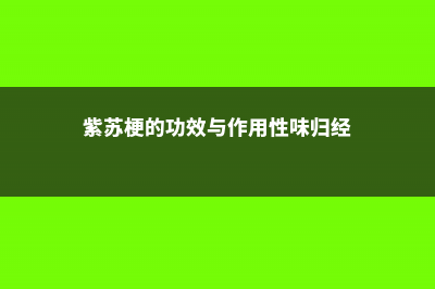 紫苏梗的功效与作用，紫苏叶的功效 (紫苏梗的功效与作用性味归经)