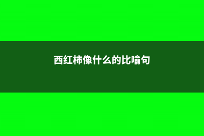 西红柿像什么，西红柿有什么营养 (西红柿像什么的比喻句)