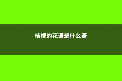 桔梗花语，桔梗的图片 (桔梗的花语是什么语)