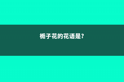 栀子花花语，栀子花的寓意 (栀子花的花语是?)