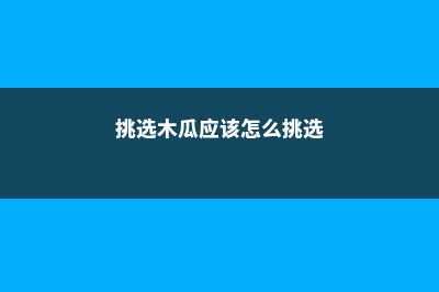 木瓜怎么挑，木瓜多少钱一斤 (挑选木瓜应该怎么挑选)