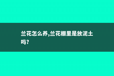 兰花怎么养，兰花图片 (兰花怎么养,兰花棚里是放泥土吗?)