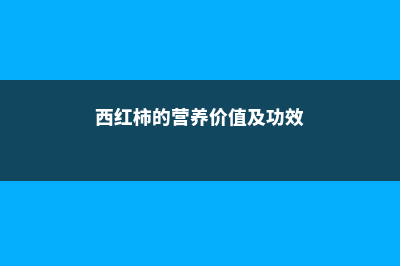 西红柿的营养价值，西红柿生吃好还是熟吃好 (西红柿的营养价值及功效)