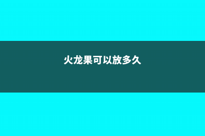 火龙果可以放多久，火龙果吃多了会怎么样 (火龙果可以放多久)