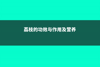 荔枝的功效与作用，荔枝图片 (荔枝的功效与作用及营养)