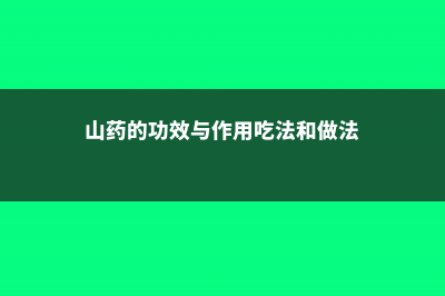 山药的功效与作用，吃山药有什么好处 (山药的功效与作用吃法和做法)