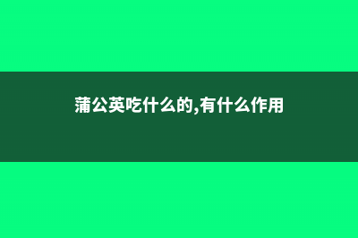 蒲公英能吃吗，吃蒲公英有什么好处 (蒲公英吃什么的,有什么作用)