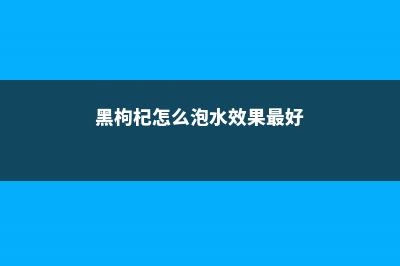 黑枸杞怎么泡，黑枸杞泡水一次放几粒 (黑枸杞怎么泡水效果最好)