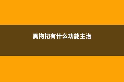 黑枸杞有什么功效，黑枸杞的正确吃法 (黑枸杞有什么功能主治)