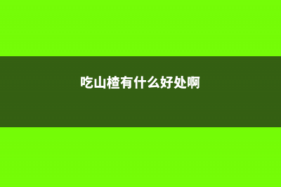 吃山楂有什么好处，山楂怎么吃 (吃山楂有什么好处啊)