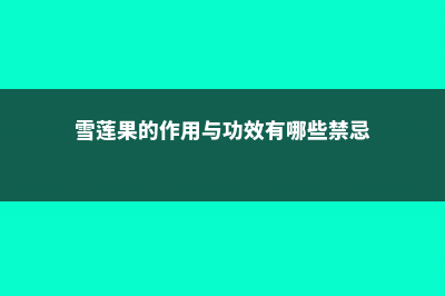 雪莲果的作用与功效，吃雪莲果的禁忌 (雪莲果的作用与功效有哪些禁忌)