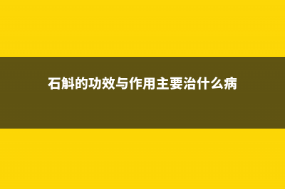 石斛的功效与作用，石斛怎么吃 (石斛的功效与作用主要治什么病)