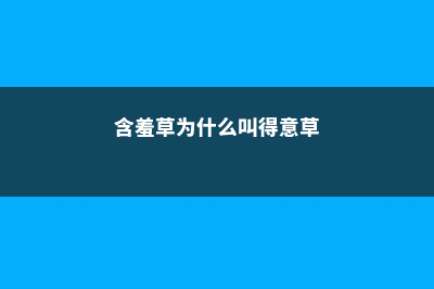 含羞草为什么叫含羞草，为什么一碰叶子就会收起来 (含羞草为什么叫得意草)