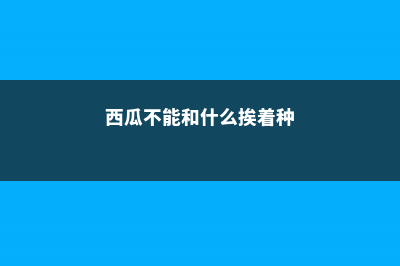 西瓜不能和什么一起吃，西瓜的功效与作用 (西瓜不能和什么挨着种)