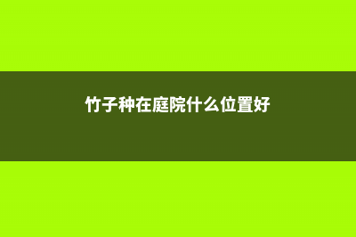 竹子种在庭院什么位置 (竹子种在庭院什么位置好)