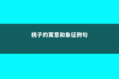 桃子的寓意和象征 (桃子的寓意和象征例句)