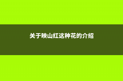 映山红的花语是什么，有什么寓意？ (关于映山红这种花的介绍)