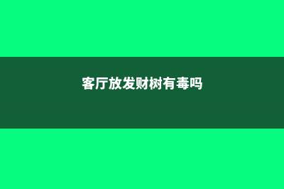 客厅放发财树有讲究吗，发财树风水摆放三不要 (客厅放发财树有毒吗)