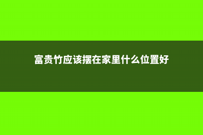 富贵竹家庭摆放位置，富贵竹摆放位置图片 (富贵竹应该摆在家里什么位置好)