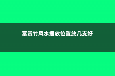 富贵竹风水摆放禁忌，富贵竹怎么摆放才正确 (富贵竹风水摆放位置放几支好)