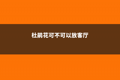 杜鹃花适合放客厅吗，杜鹃花放在客厅吉祥吗 (杜鹃花可不可以放客厅)