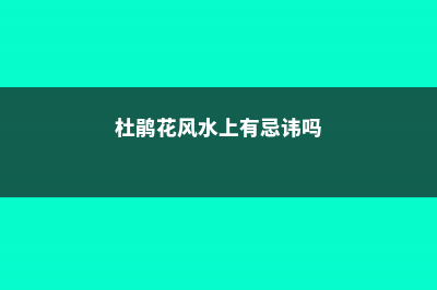 杜鹃花在风水上的意义，杜鹃花忌讳放在家吗 (杜鹃花风水上有忌讳吗)