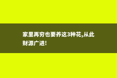 家里再穷也要养这3种花 (家里再穷也要养这3种花,从此财源广进!)