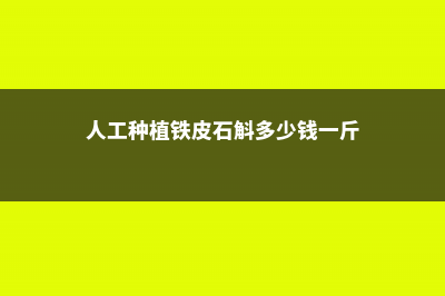 石斛多少钱一斤，什么人不适合吃石斛 (人工种植铁皮石斛多少钱一斤)