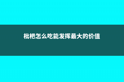 枇杷怎么吃，枇杷是热性还是凉性 (枇杷怎么吃能发挥最大的价值)