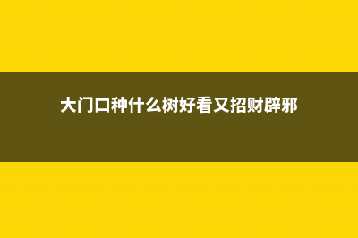 大门口种什么树能旺财 (大门口种什么树好看又招财辟邪)