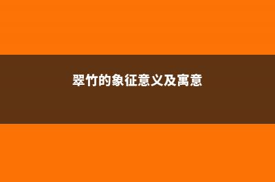 翠竹象征什么意义 (翠竹的象征意义及寓意)