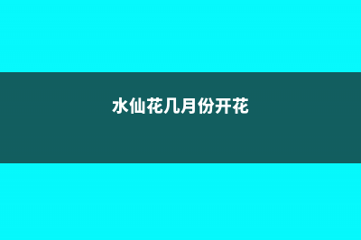 水仙花语是什么意思 (水仙花几月份开花)