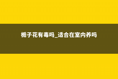 栀子花有毒吗，可以养在家中吗 (栀子花有毒吗 适合在室内养吗)